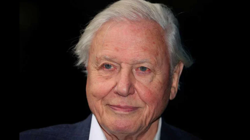 New Attenborough Film Highlights Ocean’s Crisis and Resilience