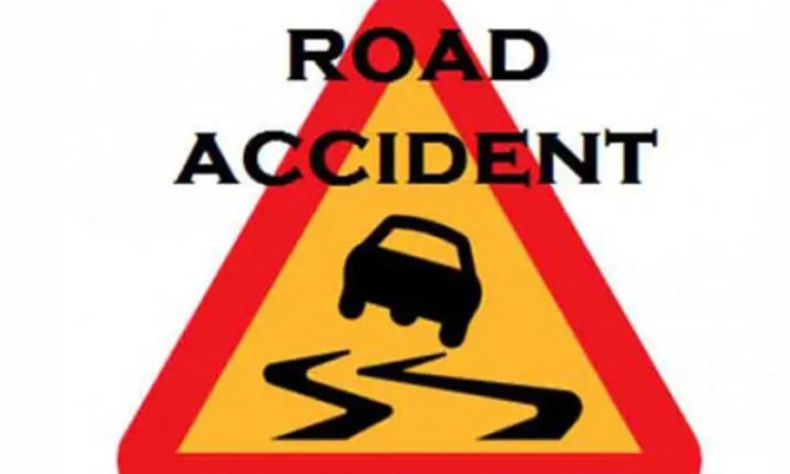 Two Killed in Separate Road Accidents in Magura