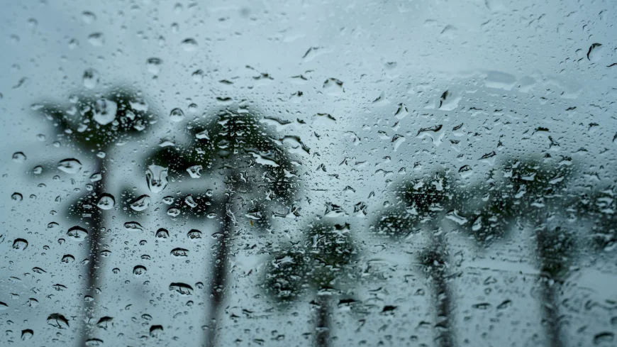 Bogura Sees Season's Heaviest Rainfall