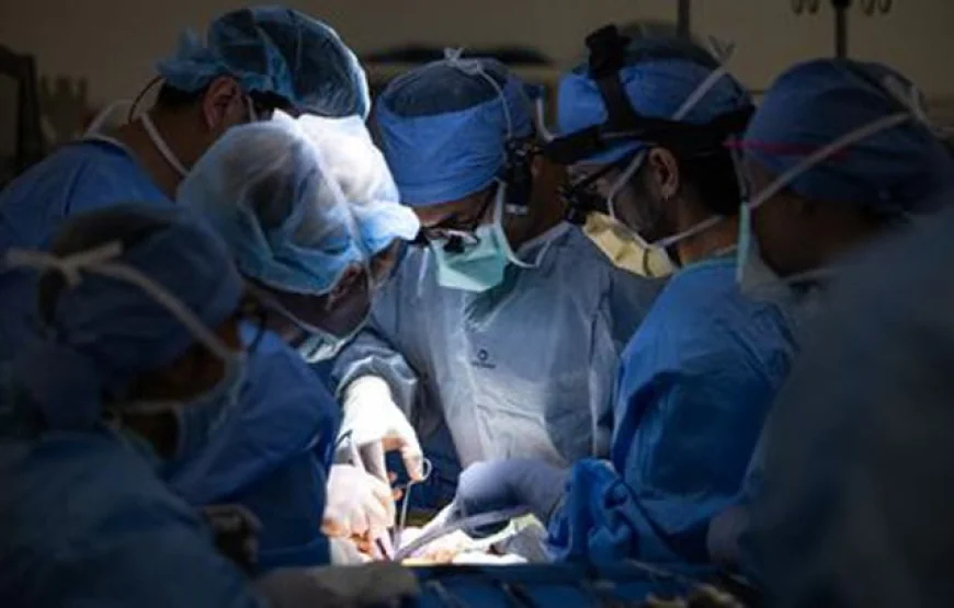 U.S. Surgeons Perform World's First Human Bladder Transplant, Offering New Hope for Patients