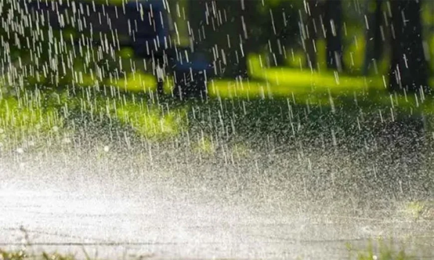Met Office Forecasts Light to Moderate Rain Across Parts of the Country