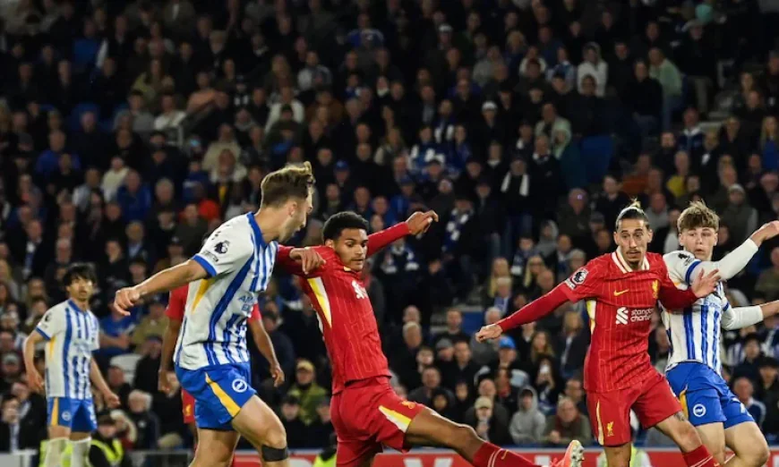 Brighton Stuns Liverpool with Late Comeback