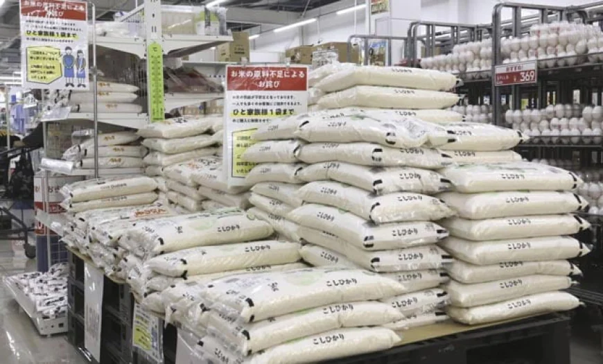 Japan's Core Inflation Hits 3.5% as Rice Prices Nearly Double