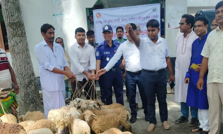 Govt Provides Sheep, Goats to Manikganj Char Communities