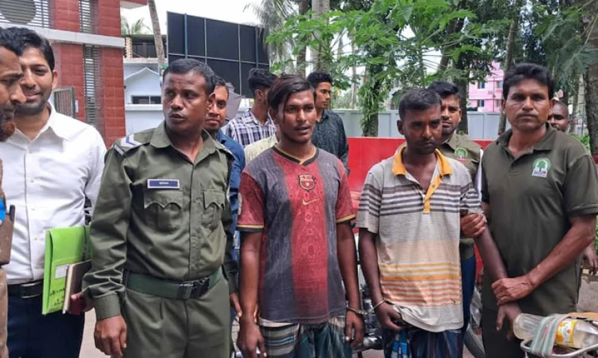 Two Poachers Jailed; Deer Hide and Heads Seized in Sundarbans