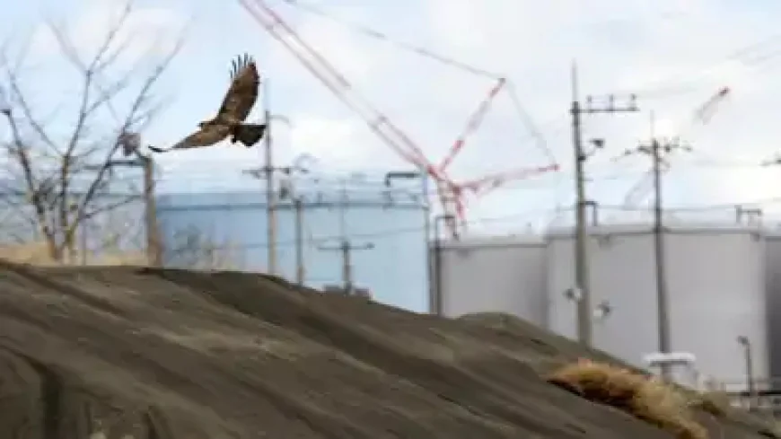 Japan PM’s Office to Receive Fukushima Soil for Testing