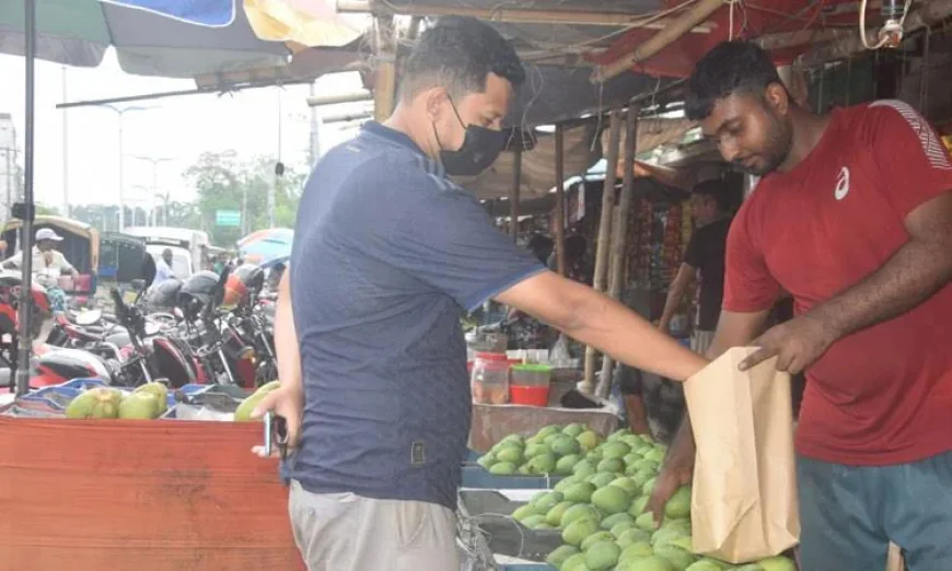 Rajshahi Sees Boost in Mango Marketing