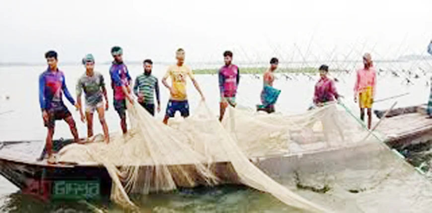 Hilsa scarce in Meghna in Raipur despite peak season
