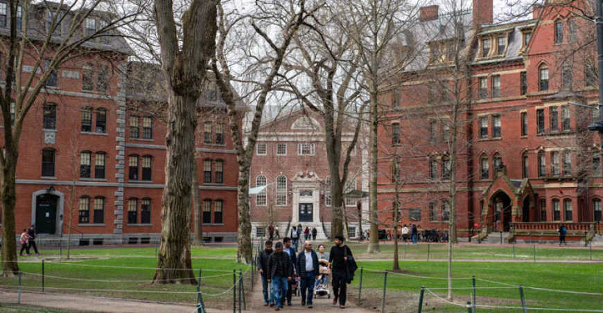 U.S. Halts New Student Visas, Expands Social Media Scrutiny