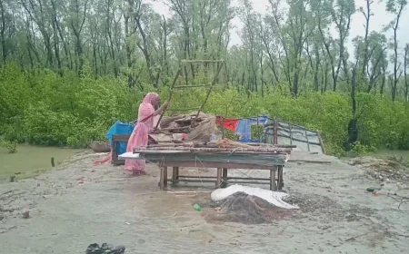 People of 3 chars in Char Fasson struggle to survive