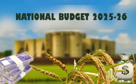 Tk 8,322cr Allocated for Food Sector in FY26 Budget