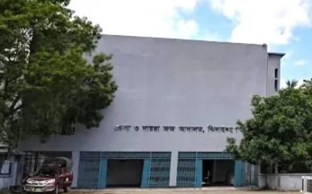 Siblings get life-term jail for murder in Jhenaidah