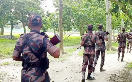 BGB vigilant to check rawhide smuggling thru border