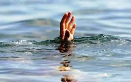 Man Drowns Trying to Save Cow in Kishoreganj