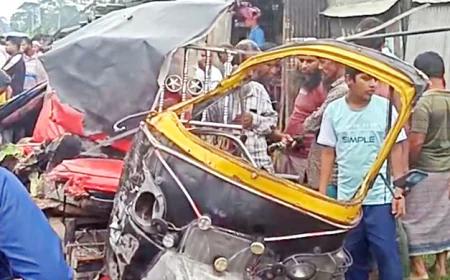 Five Killed in Bus and Three-Wheeler Collision in Faridpur