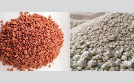 Govt Plans Purchase of 30,000 MT Rock Phosphate, 70,000 MT Fertilizer