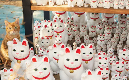 Animal Welfare Worker Found with Over 100 Dead Cats in Japanese Home