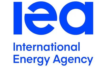 Clean Energy Investment Climbs Despite Economic Challenges: IEA