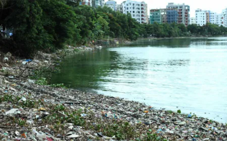 Beating Plastic Pollution: United for a Sustainable Bangladesh