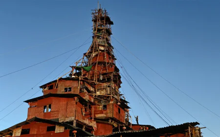Chinese Man Defies Demolition Order, Builds Unusual Rural Home
