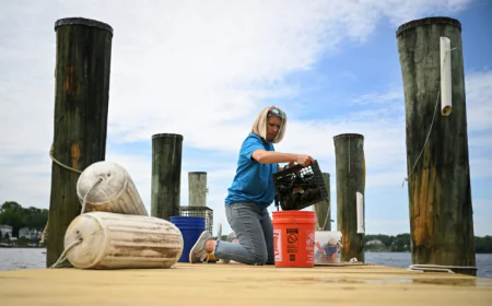 US Oyster Gardeners Help Restore Nature’s Water Filtration System