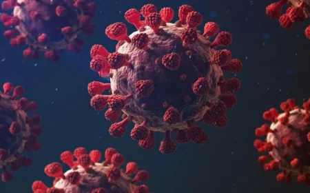 3 New Covid-19 Cases Reported in the Country