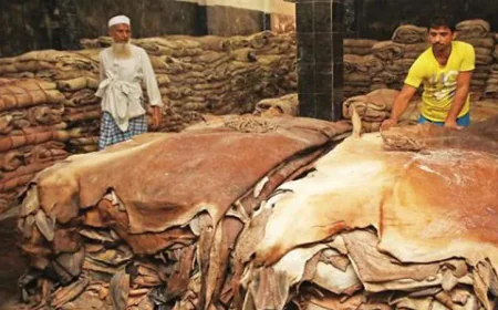 7.74 Lakh Rawhides Preserved in Chattogram Ahead of Eid