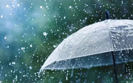 Light to Moderate Rain Forecast for Four Divisions