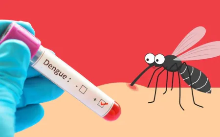 28 Dengue Patients Hospitalized in Last 24 Hours, No Deaths Reported