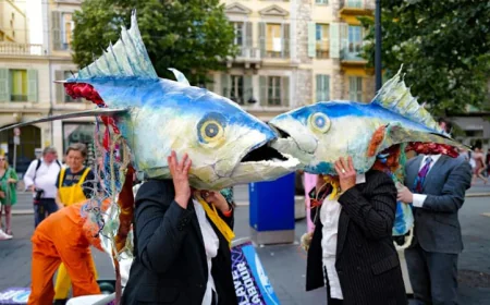 UN Summit Highlights Ocean Protection, Omits Fossil Fuel Discussions