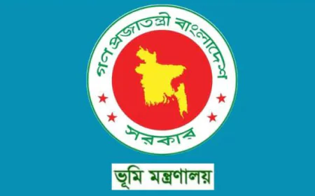 Strict Punishment for Land Fraud! New Regulations Come into Effect