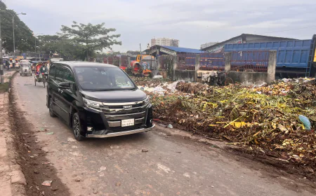 Garbage Pile in Front of Raw Market Adjacent to Diabari, Mirpur – Severe Public Suffering