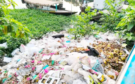Waste being dumped on Titas Riverbanks in Homna