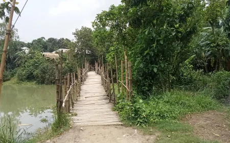 Commuters rely on risky bamboo bridge in Tangail