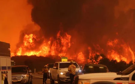 Top Scientists Raise Alarm as Climate Warning Signs Intensify