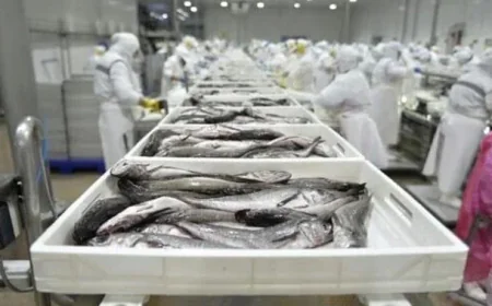 Boost in Hake Limits: Chile Supports Small-Scale Fishers