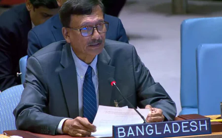 Rohingya Crisis Creating New Security Challenges, Touhid Tells UN