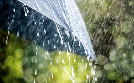Light to Moderate Rain Likely Across the Country