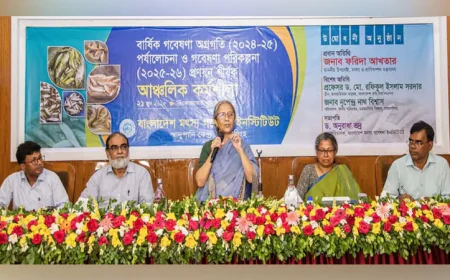 Government Striving to Create a Friendly Poll Atmosphere: Farida