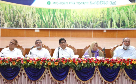 ‘Location-based paddy variety, technology innovation ongoing’