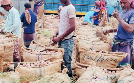 Rise in potato prices fails to satisfy farmers, traders in Kalai