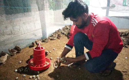 Youth successful in koel bird farming in Lalmohan