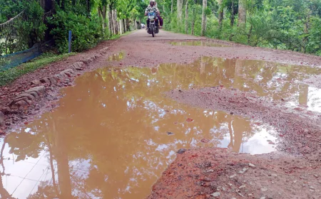 Commuters suffer for deplorable road in Kalapara