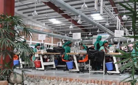 Bangladesh’s Apparel Exports to the EU Jump to $8.07 billion