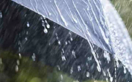 Rain Likely Across the Country