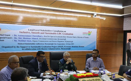 Sustainable LDC Graduation Hinges on Unity and Self-Reliance: Dr. Anisuzzaman