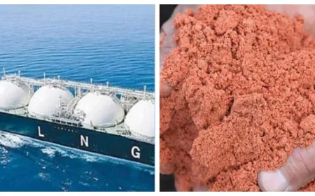 Govt to procure 1 LNG cargo, 1,05,000 MT fertilizer