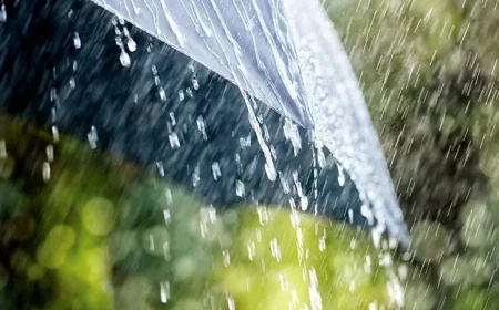 Light to Moderate Rain Forecast Across the Country