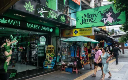Thailand proposes new restrictions on cannabis sales to limit recreational use