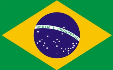 Brazil Judges Hold Social Media Platforms Liable for Illegal Content